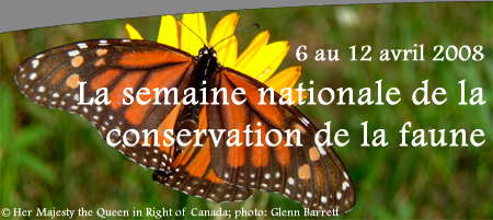 debut-de-la-semaine-de-la-conservation-de-la-faune-canada/nww-content-banner08-f-jpg.jpeg