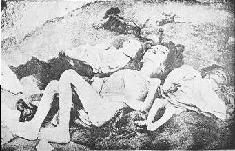 debut-du-genocide-armenien/armeniangenocide-starvedchildren3051-jpg.jpeg