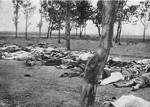debut-du-genocide-armenien/armenians19153152-jpg.jpeg