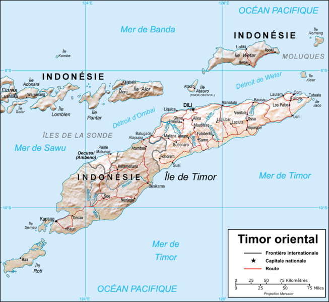 independance-du-timor-oriental/timor-oriental-carte-jpg.jpeg