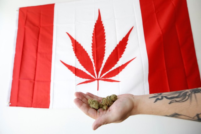 le-cannabis-sera-legal-le-17-octobre-au-canada/1556647-selon-premier-ministre-justin-trudeau-jpg.jpeg