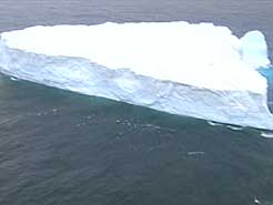 de-gigantesques-icebergs-a-la-derive-en-nouvelle-zelande/iceberd113151215132025272930-jpg.jpeg