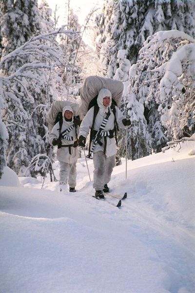 premiers-soldats-en-ski/finnish-soldiers-skiing-jpg.jpeg