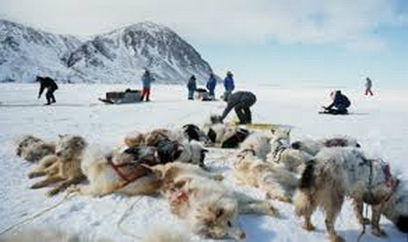 les-inuits-obtiennent-580-millions-et-lest-de-larchipel-arctique-futur-nunavut-pour-avril-1999/clip-image022-jpg.jpeg