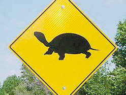 pele-mele-panneaux-de-signalisation-des-voleurs-mettent-les-tortues-en-danger/clip-image003-jpg.jpeg