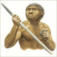 pele-mele-lhomo-erectus-est-plus-vieux-quon-pensait/homo-erectus30.jpg