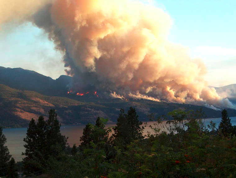 incendies-de-foret-a-kelowna-en-colombie-britannique/2003-okanagan-fire-rattlesnake-jpg.jpeg