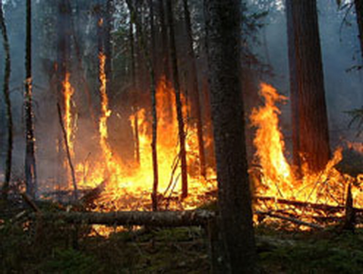 le-nord-du-quebec-devaste-par-un-enorme-incendie-de-foret/feu-jpg.jpeg
