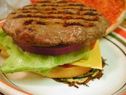 apparition-du-hamburger/homemade-hamburger10.jpg