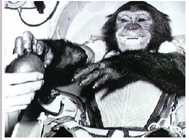 ham-le-chimpanze-voyage-dans-lespace/ham226.jpg