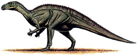 naissance-gideon-algernon-mantell/iguanodon213.jpg