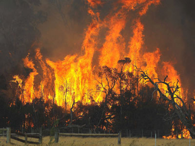 incendies-meurtriers-en-australie/australie-feu2.jpg