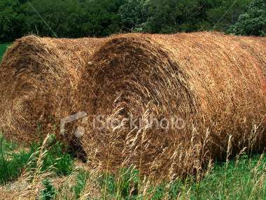 naissance-wesley-f--buchele/round-hay-bales.jpg