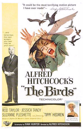 sortie-du-film-les-oiseaux-dalfred-hitchcock/the-birds-original-poster.jpg