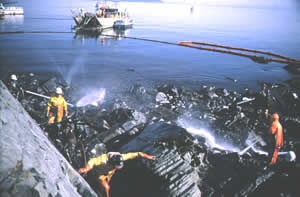 autre-accident-ecologique-le-petrolier-americain-exxon-valdez/exxon-valdez25162.jpg