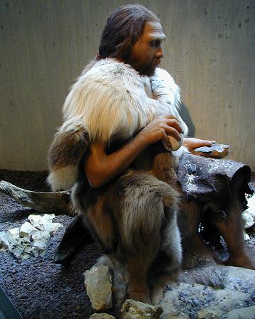 lhomme-de-neandertal-un-etre-habile/neandertal16068.jpg