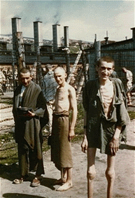 liberation-du-camp-de-mauthausen-dernier-camp-de-deportation/mauthausen33645.gif